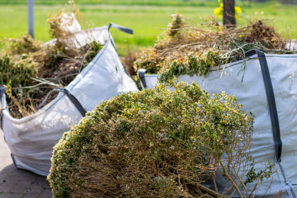 Best Office Junk Removal  in Waldorf, MD
